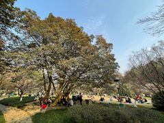 -杭州植物园