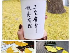 -自如ZSPACE四合院艺术餐厅