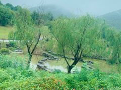 -句容茅山景区