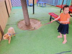 -萌宠亲子动物乐园(槐房万达店)