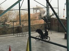 -东方熊牧场