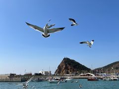 -大连老虎滩海洋公园