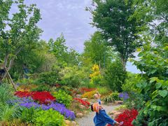 -上海长兴岛郊野公园