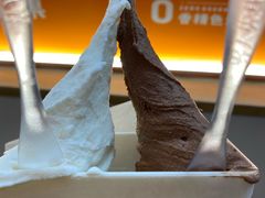 -野人先生现做冰淇淋(北京环宇荟店)