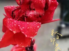 -婺源风景区