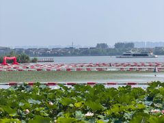 -金鸡湖桃花岛