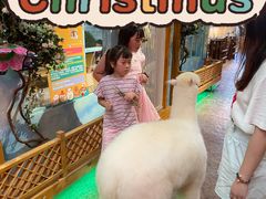 -杭州开元森泊度假乐园