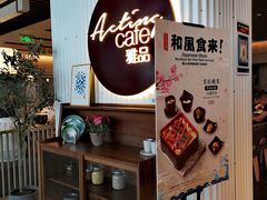 -上海浦东国际机场-T2航站楼