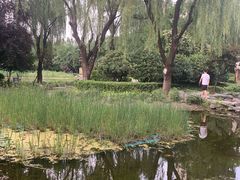 -木塔寺遗址生态公园