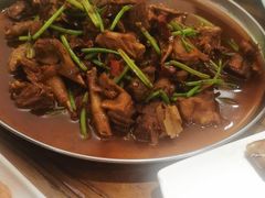 -美华大炒鸽子店