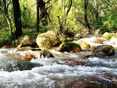 -玉渡山自然风景区
