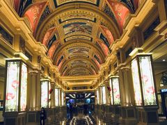 -澳门威尼斯人综合度假区