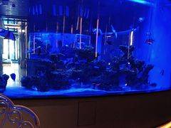 -上和臻品中国菜(花园街店)