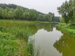 -东郊湿地公园