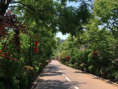 -渭南桃花源民俗文化园