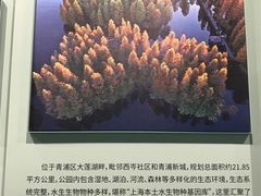 -上海城市规划展示馆