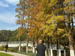 -昆山城市公园