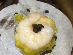 -糖朝(尖沙咀店)