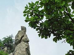 -秦岭终南山世界地质公园翠华山景区