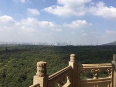 -灵谷景区