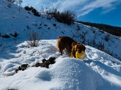 -太子岭滑雪场