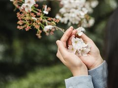 -杭州少年儿童公园