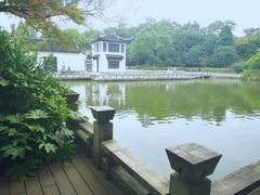 -红梅公园