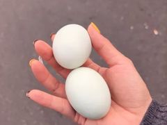 -蟹天蟹地农家菜·阳澄湖大闸蟹(浅水湾店)