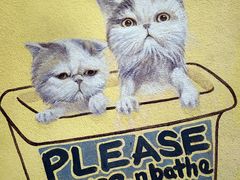 -槟城街头艺术街区