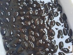 -南沙十九涌渔人码头-南门