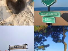 -巧克力渔家.小船海鲜胶东菜(万平口店)