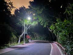 -仙岳公园