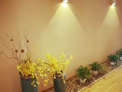 -Sakura·美颜社·日式私汤SPA