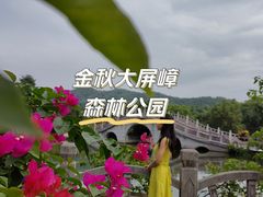 -大屏嶂森林公园