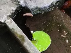 -生机蔬食·24节气料理餐厅(番禺广场店)