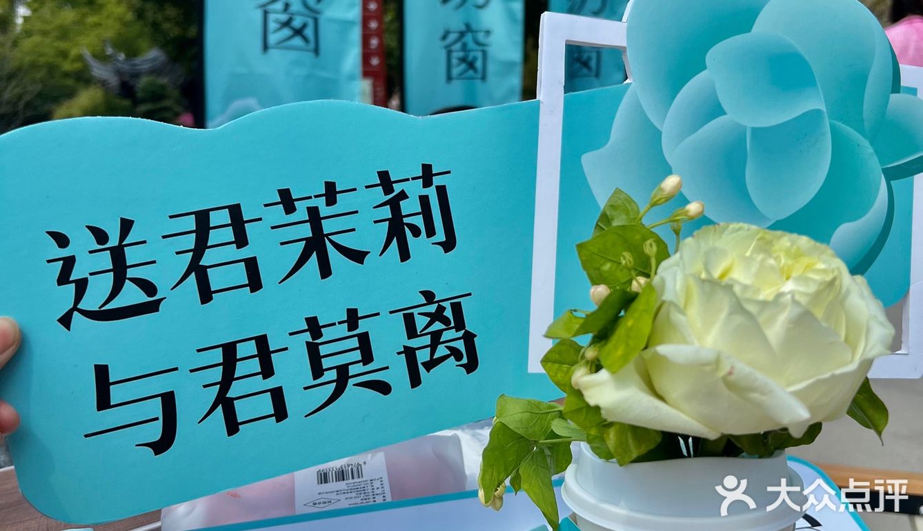 春季的快乐是百分茶给的