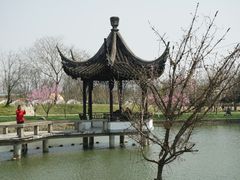 -苏州上方山国家森林公园