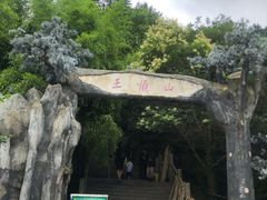 -王顺山国家森林公园