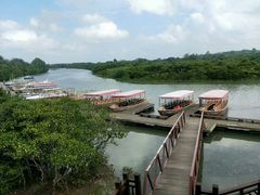 -东寨港红树林旅游区