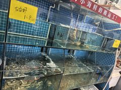 -杨记海鲜楼(三门黑金冠店)