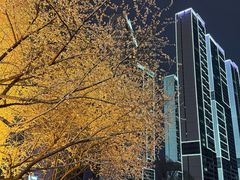 -东北大厦酒店(沈阳北站青年大街店)