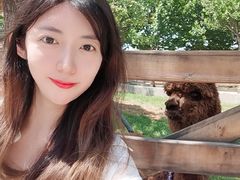 -静之湖湖畔餐厅