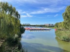 -大兴滨河森林公园