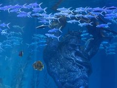 -哈尔滨波塞冬海底世界
