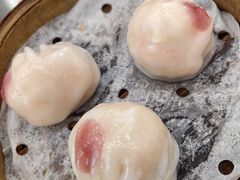 -憶廟街 X 沙角邨(太古城店)