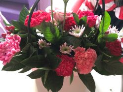 -安悦国际母婴中心(月子会所)