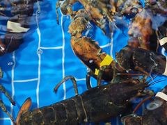 -船奇蒸汽海鲜·闽菜(八市海鲜总店)