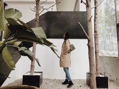 -桉树林A coffee 森林餐厅(三圣乡店)