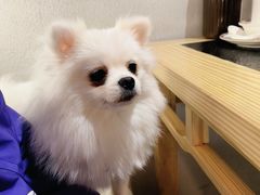 -京炭铜锅涮肉·羊蝎子·羊肉炉(保利·时光里店)