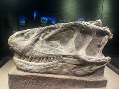 -自贡恐龙博物馆